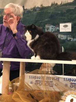 received_10213982060373167