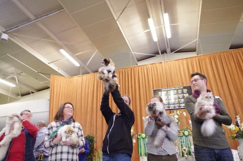 fb_img_1540674566782