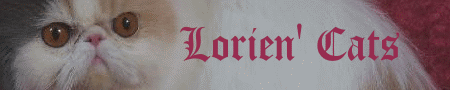 loriencats