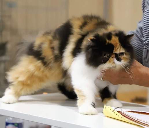 FB_IMG_1537210980677