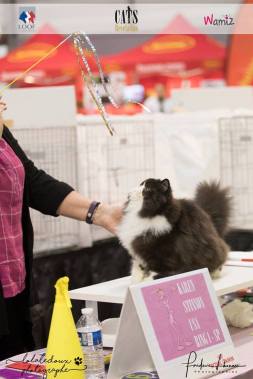 received_1970518083198081