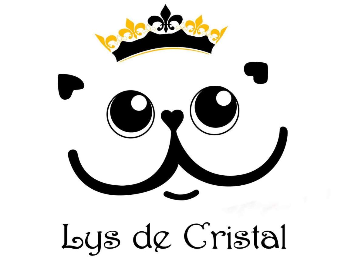 received_926165601077475