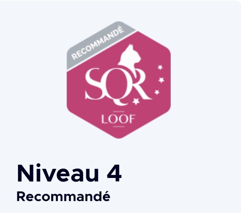 Screenshot_2024-03-05-22-59-30-165_com.android.chrome~2